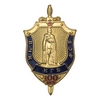 Знак «100 лет ВЧК-КГБ-ФСБ» №2