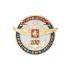 Медаль «За отличие в охране общественного порядка» РФ, сувенирный муляж