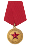 Медаль «Ветерану поискового движения СНГ. 25 лет»