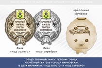 Общественный знак «Почётный житель города Жирновска Волгоградской области»