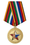 Медаль МО РФ «Совместное стратегическое учение Запад-2017»