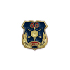 Знак на лацкан «60 лет РВСН»