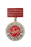 Медаль на колодке «За помощь в развитии каратэ SKIF»