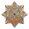 Нагрудный знак ГК по ЧС республики Башкортостан «За заслуги»