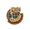 Знак отличия «Готов служить в ВС РФ. Боевое братство»