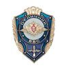 Знак «Отличник ВВС России»