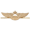 Эмблема (кокарда) ВВС/ВКС на тулью фуражки, нового образца