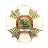 Знак «Участник боевых действий в Дагестане»