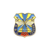 Знак «100 лет ВВС России»