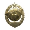 Знак «Спецназ вооруженных сил»