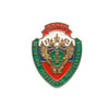 Знак «55 лет Печерскому управлению Ростехнадзора РК»