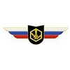 Должностной знак командира учебной воинской части и другого воинского формирования (РХБЗ) №122