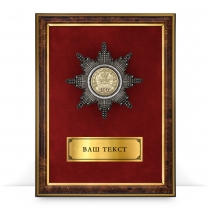 Панно с орденом «В честь 100-летия патрульно-постовой службы»