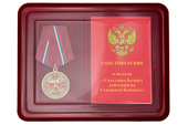 Наградной комплект к медали «Участник боевых действий на Северном Кавказе» с бланком удостоверения