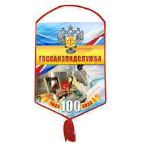 Вымпел «100 лет Госсанэпидслужбе России»