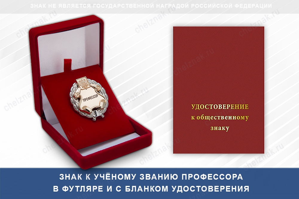 Знак двухуровневый «Профессор»