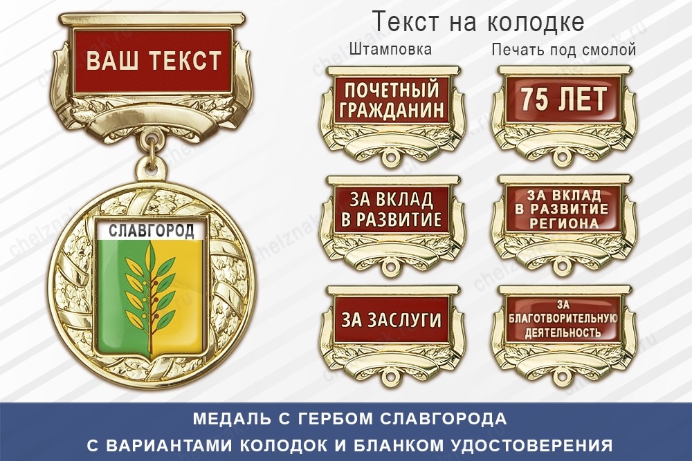 Медаль с гербом города Славгорода Алтайского края с бланком удостоверения