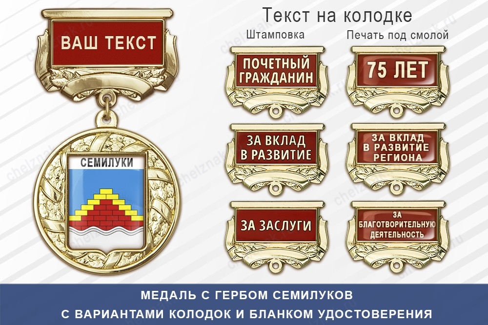 Медаль с гербом города Семилуков Воронежской области с бланком удостоверения