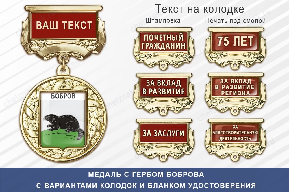 Медаль с гербом города Боброва Воронежской области с бланком удостоверения