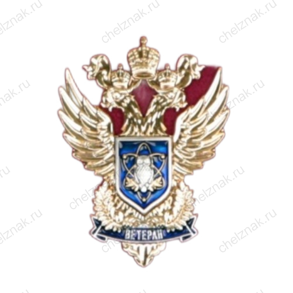 Нагрудный знак «Ветеран» Министерства науки и высшего образования Российской Федерации