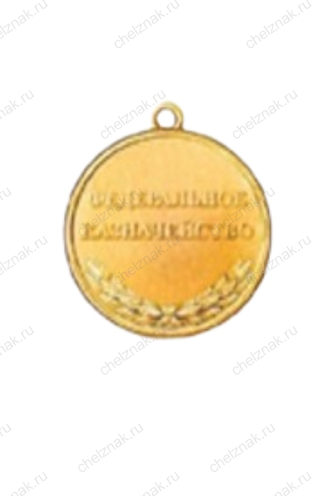 Медаль Федерального Казначейства РФ «За службу в органах Казначейства России» - ХХ лет