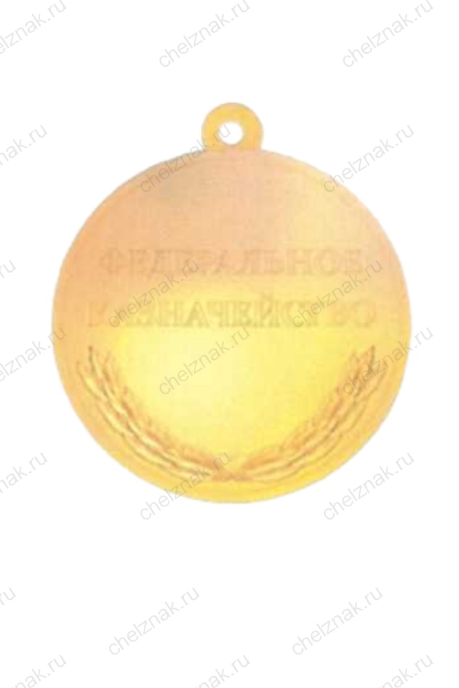 Медаль Федерального Казначейства РФ «За службу в органах Казначейства России» - ХХV лет