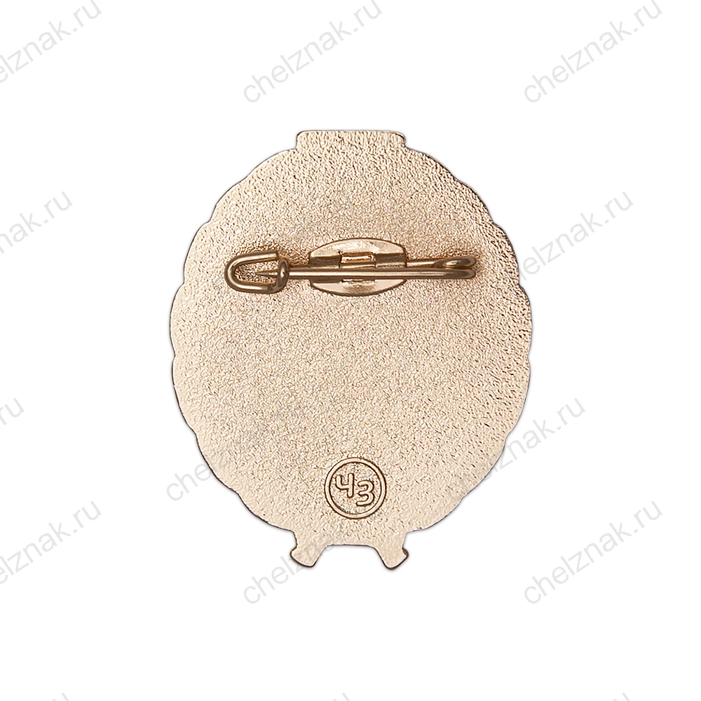 Нагрудный знак «Почетный наставник сферы образования Республики Дагестан»