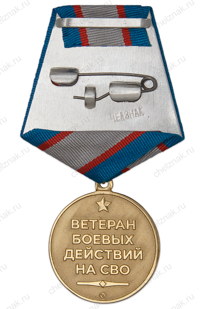 Медаль «Ветеран боевых действий СВО» с бланком удостоверения