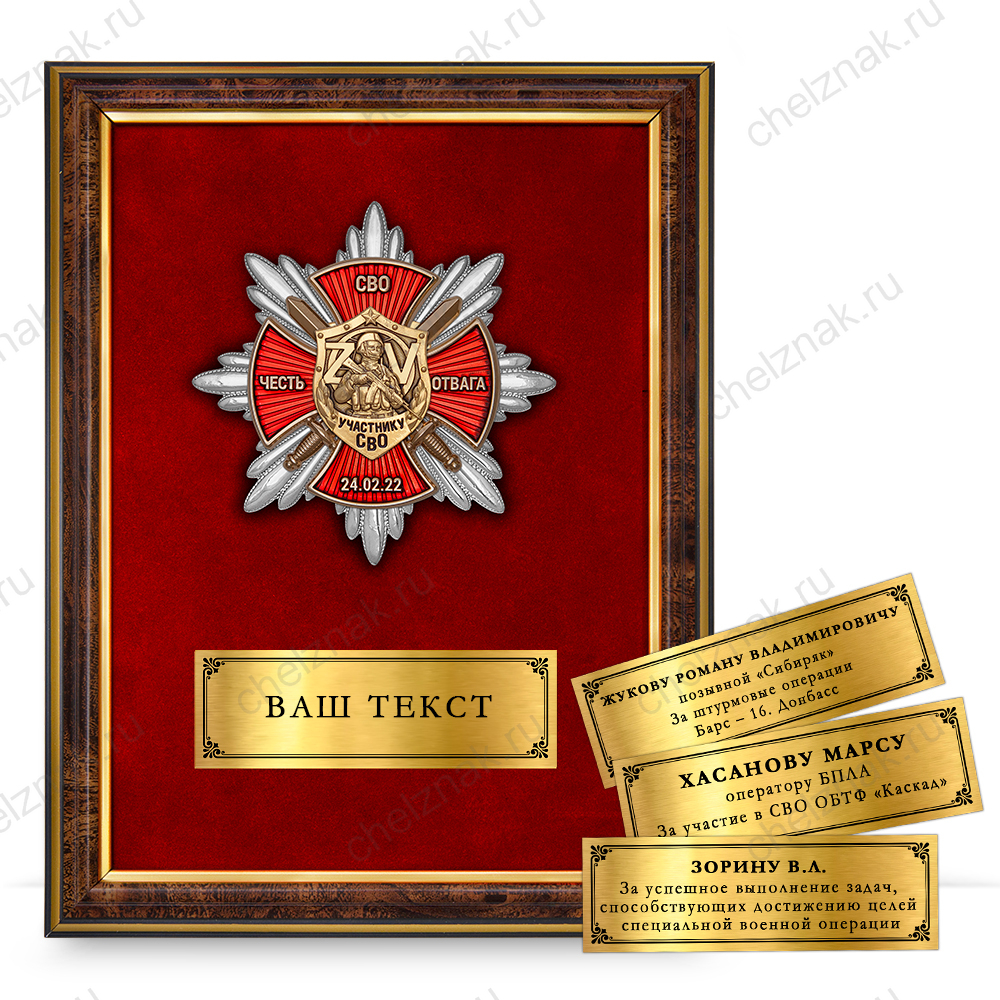 Панно наградное с орденом «Участник СВО»