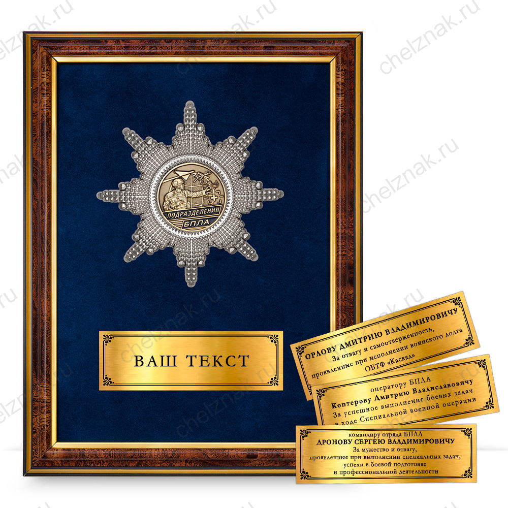 Панно для награждения операторов подразделений БПЛА