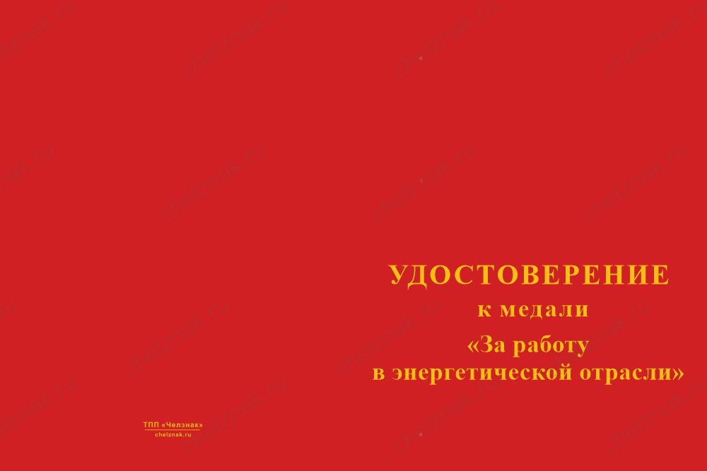 Медаль «За работу в энергетической отрасли» с бланком удостоверения