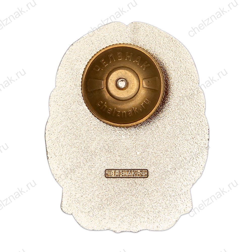 Знак «25 лет выпуску 1996-1999 ВСИ МВД РФ»