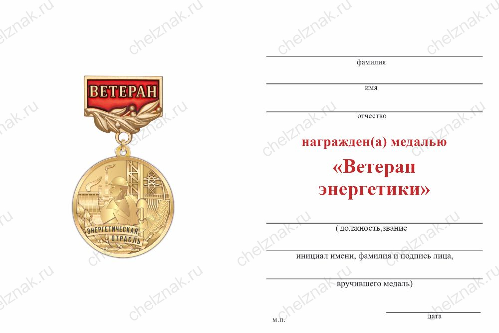 Медаль «Ветеран энергетики» с индивидуальным текстом с бланком удостоверения