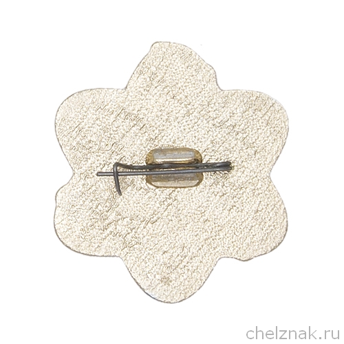 Значок ВСС «Мирный атом-2018» ПО «Маяк» г. Озерск