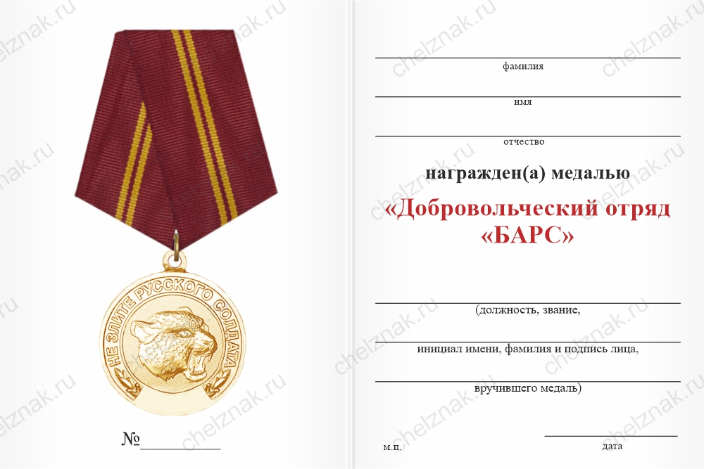 Медаль «Добровольческий отряд "БАРС"» с бланком удостоверения