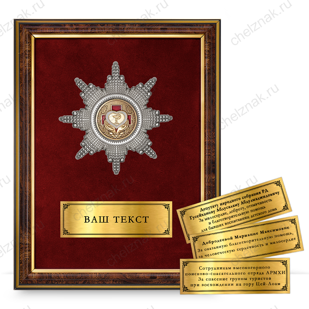Наградное панно с орденом «За милосердие и помощь»