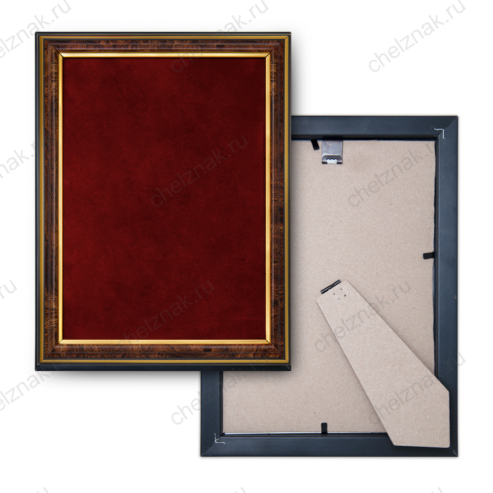 Наградное панно с орденом «За милосердие и помощь»