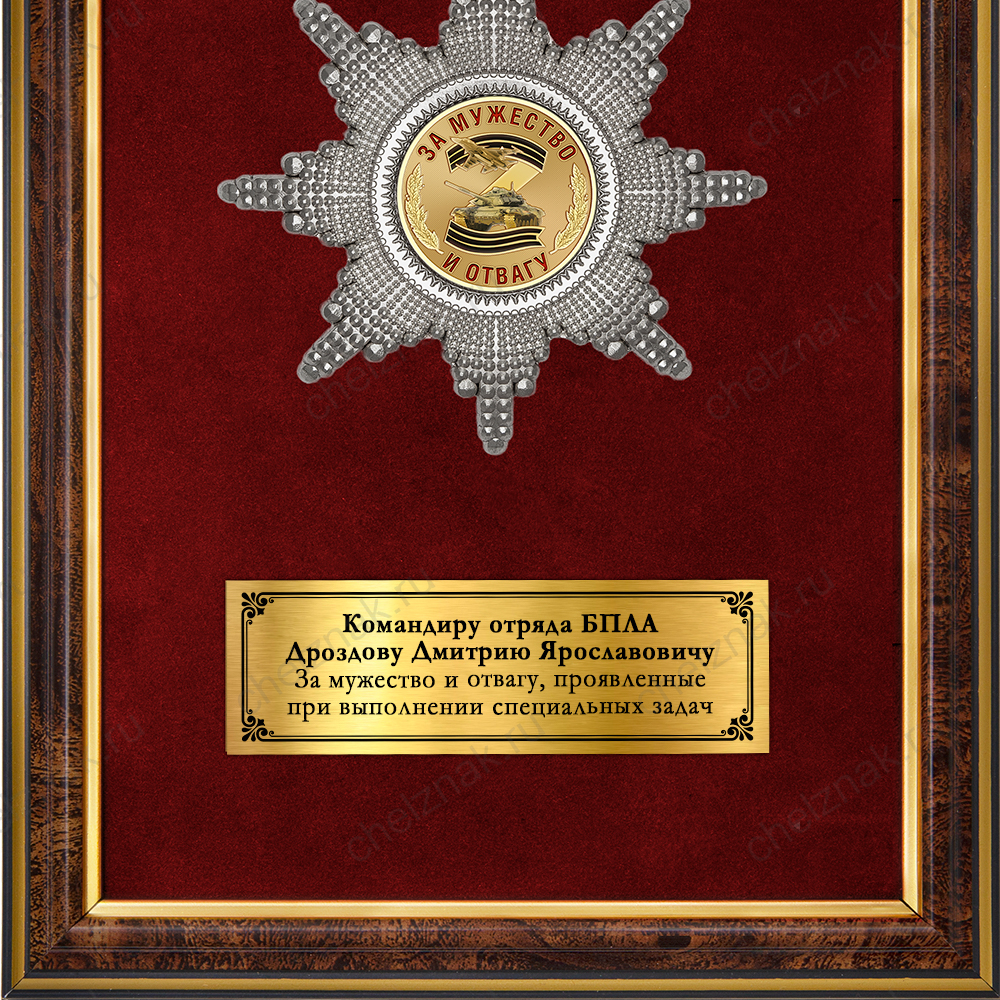 Панно с орденским знаком «За мужество и отвагу на СВО»