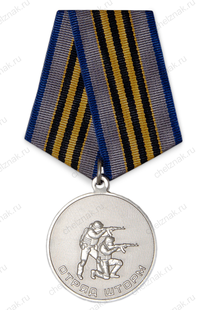 Медаль «Отряд "ШТОРМ"» с бланком удостоверения