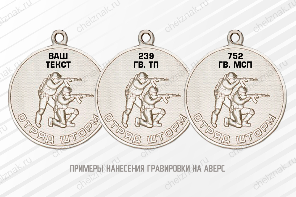 Медаль «Отряд "ШТОРМ"» с бланком удостоверения