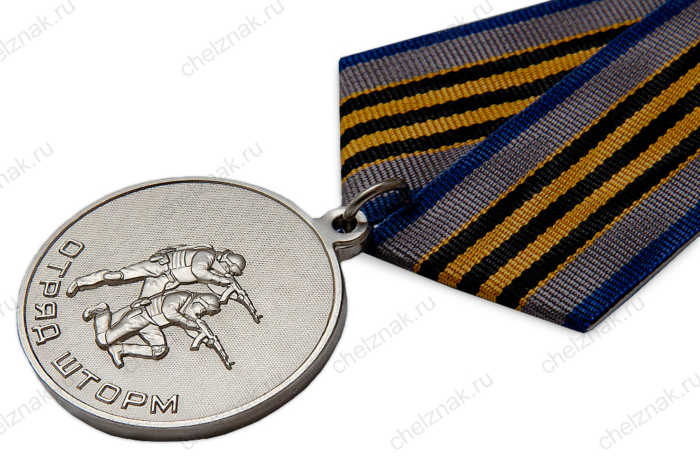 Медаль «Отряд "ШТОРМ"» с бланком удостоверения