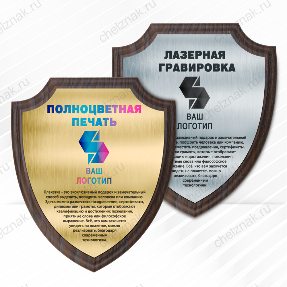 Лицевая сторона награды Наградная плакетка (щит)