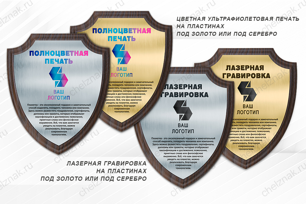 Обратная сторона награды Наградная плакетка (щит)