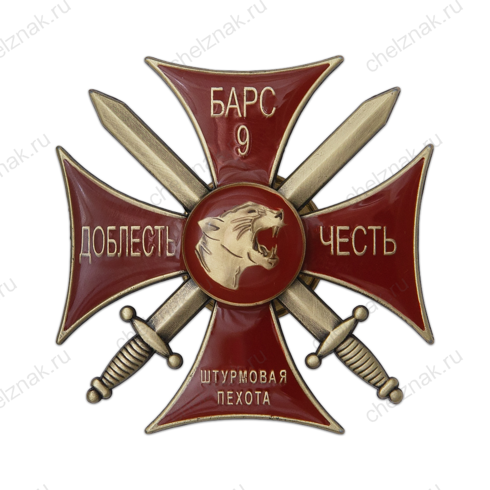 Памятный знак «Барс - 9. Штурмовая пехота»