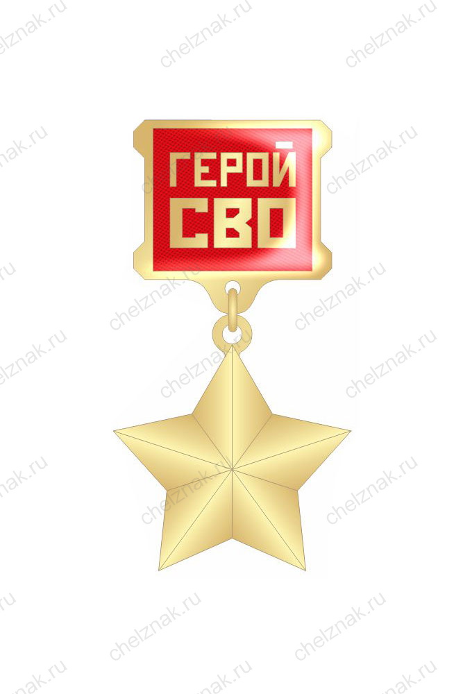 Звезда «Герой СВО» под гравировку номера