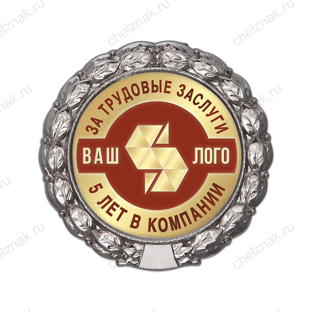 Знак «5 лет в компании. За трудовые заслуги»