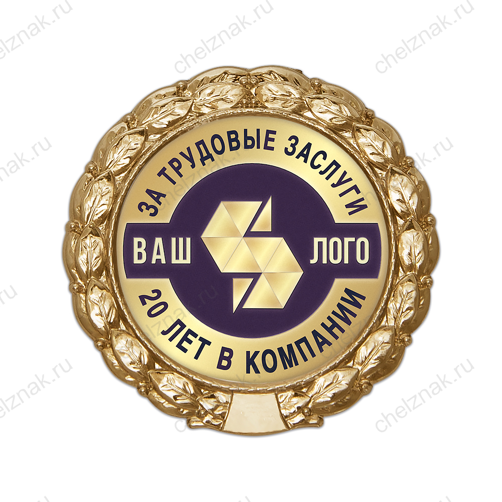 Лицевая сторона награды Знак «20 лет в компании. За трудовые заслуги»