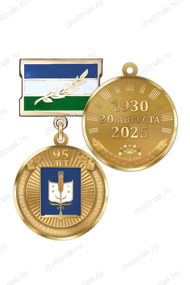 Медаль «95 лет Стерлибашевскому району Республики Башкортостан» с бланком удостоверения