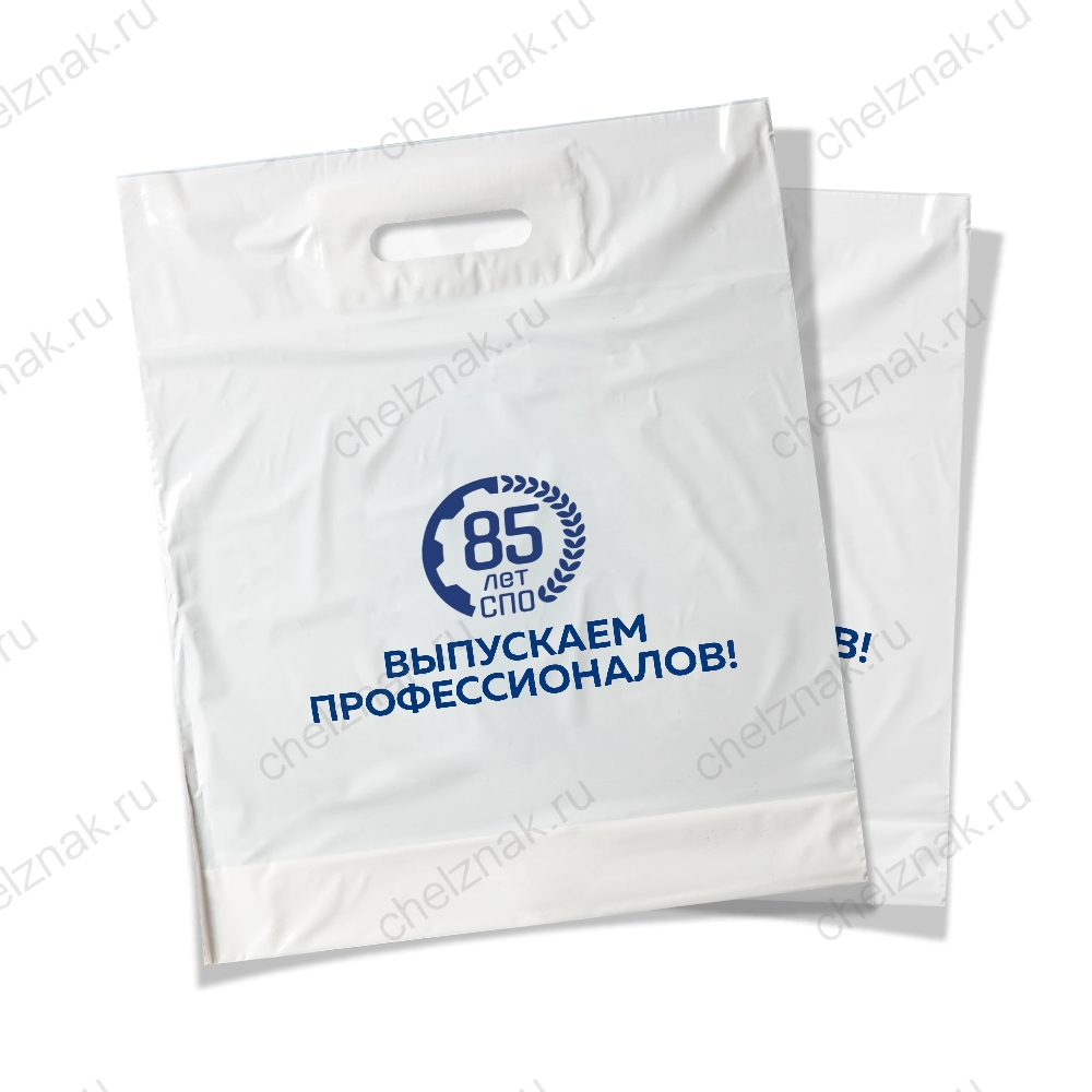 Пакет подарочный к 85-летию системе СПО