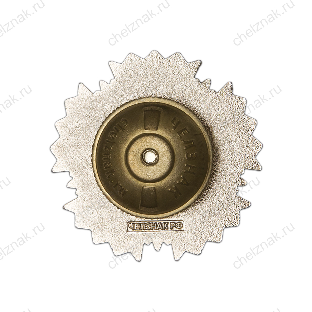 Нагрудный знак «ДФ МО РФ "БАРС-33" им. В.Ф. Маргелова»